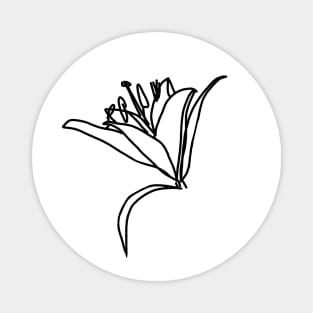 Stargazer Lily Flower Line Drawing Magnet